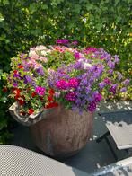 Mooie pot op terras, Ophalen, Steen, Gebruikt, Rond