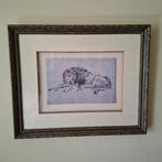 pentekening leeuw (Rembrandt??), Antiek en Kunst, Kunst | Tekeningen en Foto's, Ophalen