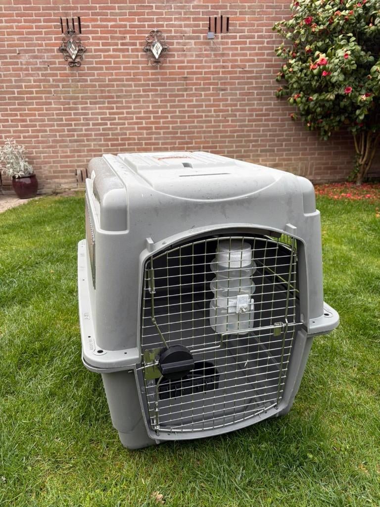 Dog Kennel- transportbox for Honden, Ophalen, Gebruikt