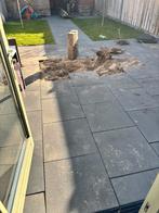 Ongeveer 75m2 terrastegels, Tuin en Terras, Tegels en Klinkers, Ophalen, Gebruikt, Beton, Terrastegels