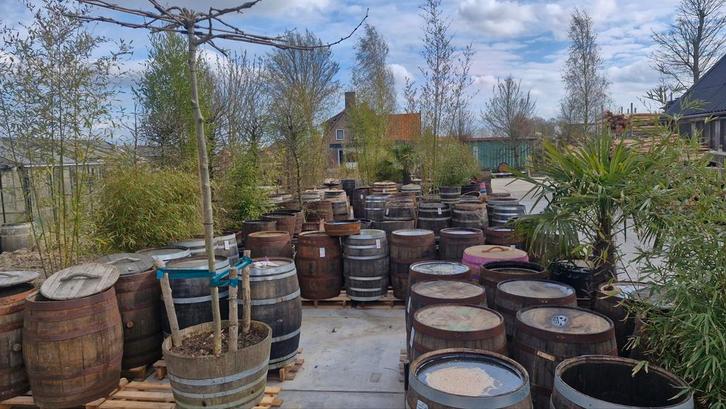 OPRUIMING regenton wijnvat whisky vat, Tuin en Terras, Bloembakken en Plantenbakken, Nieuw, Hout, Balkon, Tuin, 60 tot 100 cm