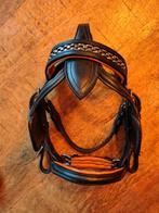 Men hoofdstel mini mini shetlander, Ophalen of Verzenden, Nieuw, Overige soorten