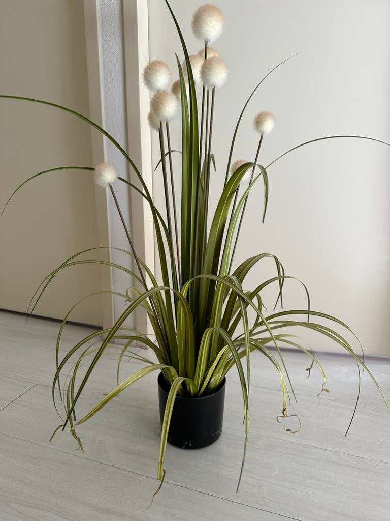 Kunstplant.. zgan!, Ophalen, Overige soorten