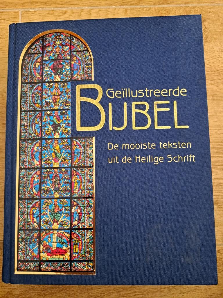 Geïllustreerde Bijbel: De mooiste teksten uit de Schrift, Ophalen of Verzenden, Zo goed als nieuw, Onbekend, Christendom | Katholiek