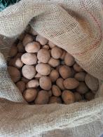 Frieslander pootaardappelen, Ophalen