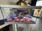 Aquarium 57.6L met Fabrieksgarantie!, Ophalen, Zo goed als nieuw, Leeg aquarium