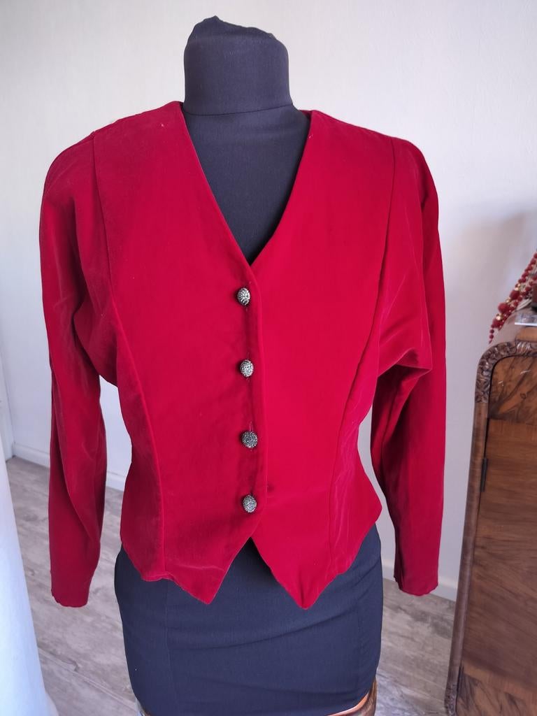 Vintage fluweel colbert/jasje, Kleding | Dames, Ophalen of Verzenden, Zo goed als nieuw, Maat 38/40 (M), Rood