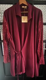Bordeaux of bruin overslag tuniek met glitter pailetten, Kleding | Dames, Grote Maten, Ophalen of Verzenden, Nieuw, Bruin, Blouse of Tuniek
