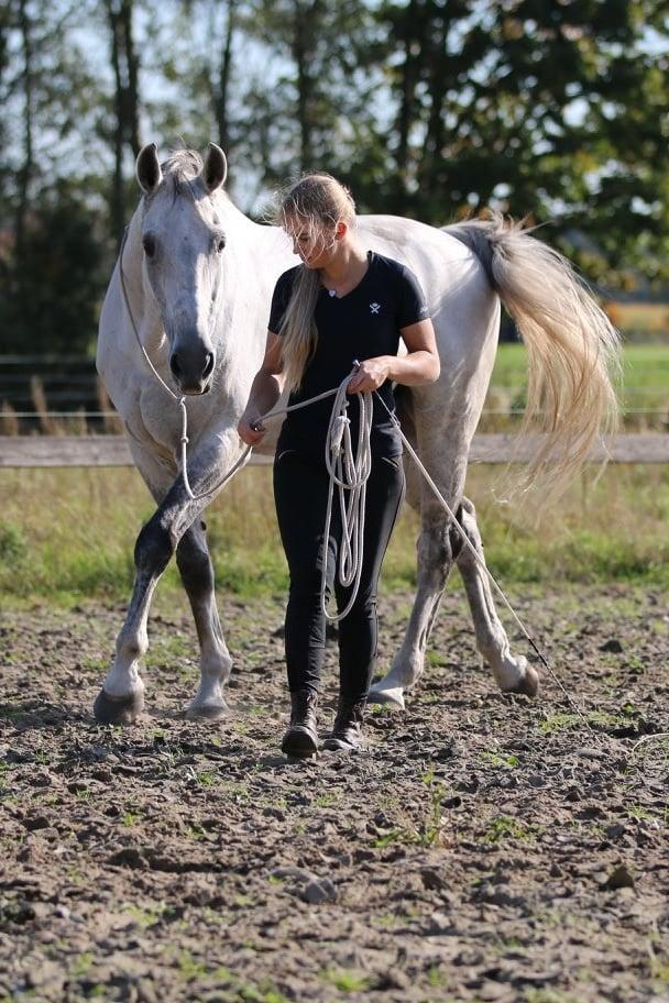 NIEUWE F.R.A GRONDWERK TOUWEN / 820meter, Ophalen, Nieuw, Overige soorten