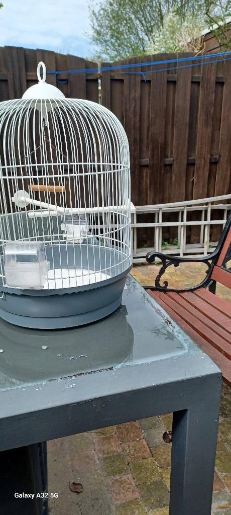 Vogelkooi, Dieren en Toebehoren, Vogels | Hokken en Kooien, Ophalen, Zo goed als nieuw, Metaal, Vogelkooi