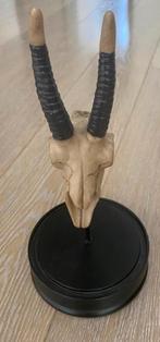 Skull op standaard, nieuw, Ophalen of Verzenden, Nieuw