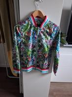Vrolijk leuk jasje maat 158-164, Ophalen of Verzenden, Gebruikt, Meisje, Jas