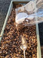 Zonnebloem Zaden Giganteus - Grote Zonnebloemen, Ophalen of Verzenden, Voorjaar, Volle zon, Zaad