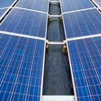 Plantex Platinium 240 g/m² – UV- bestendig - Worteldoek - M, Overige materialen, Biels, Nieuw, Ophalen of Verzenden