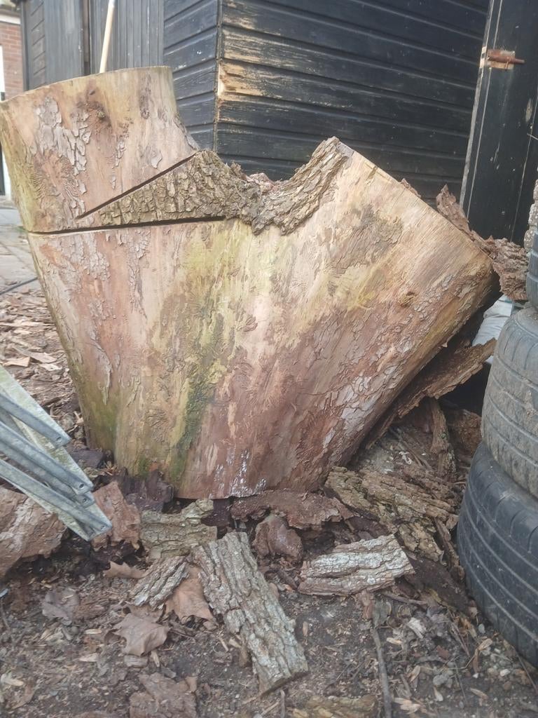 Boomstam ruil voor doosje gebak, zelf zagen, Tuin en Terras, Minder dan 3 m³, Ophalen of Verzenden, Overige houtsoorten, Stammen