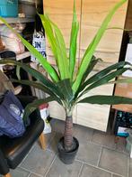 Yucca kunstplant in pot 120 cm groot, Ophalen, Gebruikt, Binnen