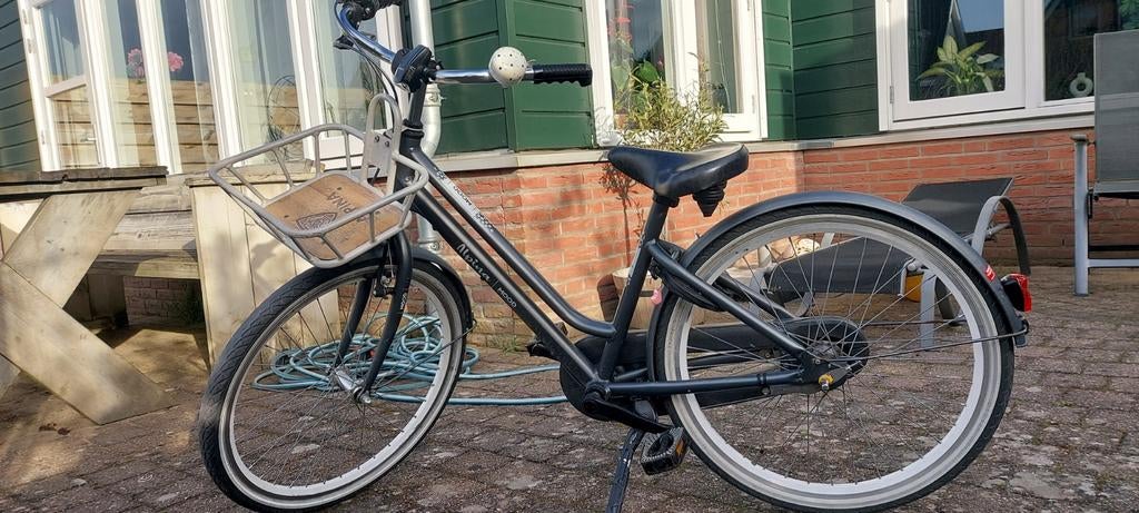 Meisjesfiets met voordrager, Ophalen, Gebruikt, Alpina, Versnellingen