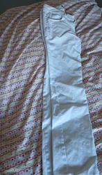 Witte broek voor dames - Ideaal voor salon of werk, Ophalen of Verzenden, Maat 36 (S), Wit, Lang