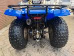 Yamaha Grizzly 125 cc quad, Motoren, 125 cc, 11 kW of minder, 1 cilinder