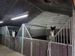 Stalling beschikbaar met weidegang voor pony of paard., Weidegang