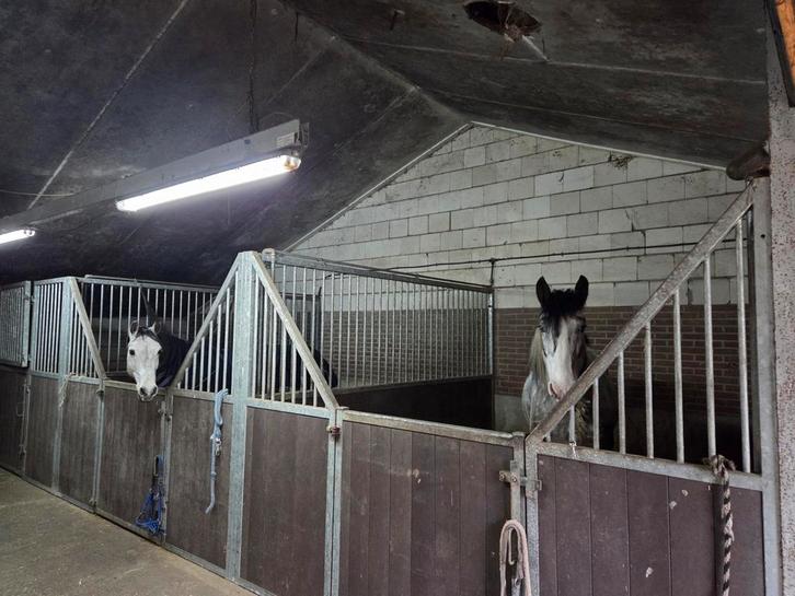Stalling beschikbaar met weidegang voor pony of paard., Dieren en Toebehoren, Stalling en Weidegang, Stalling, Weidegang