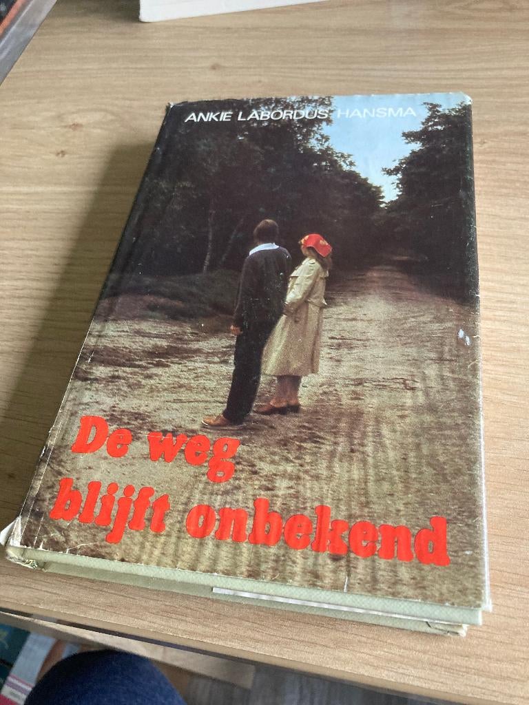 Boek Ankie Labordus Hansma, Ophalen of Verzenden, Gelezen