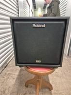Roland CM-30 Cube Monitor - Compacte PA/Monitor Speaker, Ophalen, Gebruikt