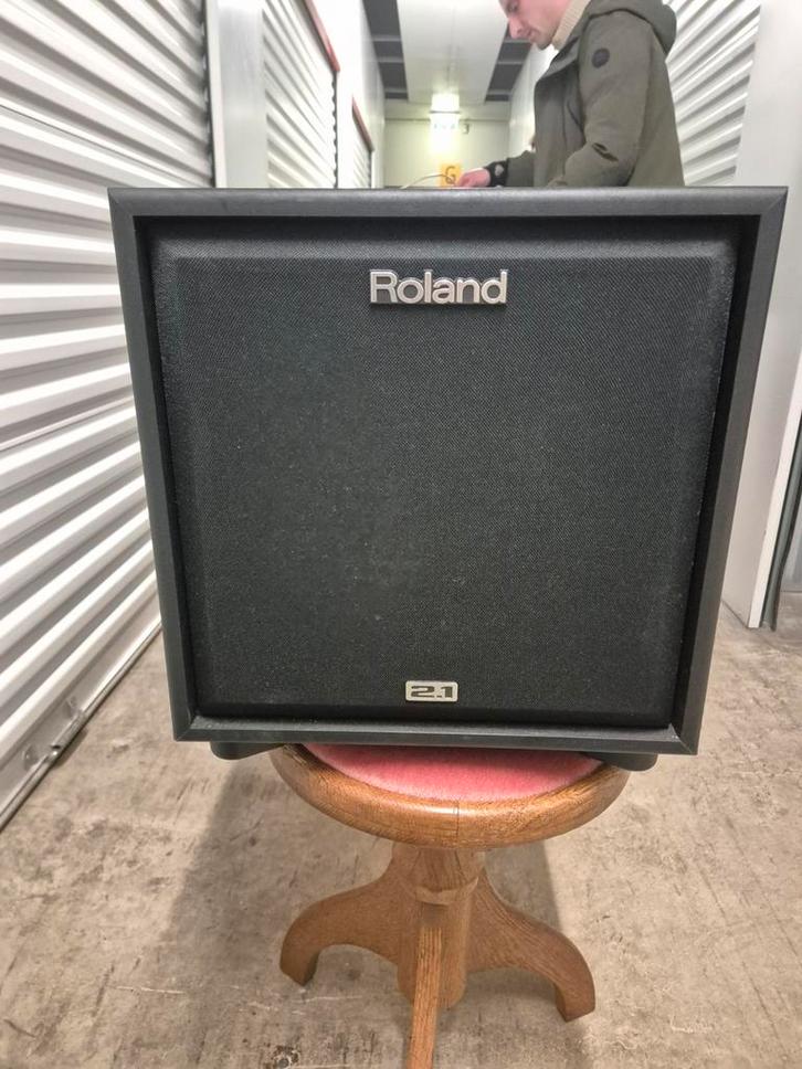 Roland CM-30 Cube Monitor - Compacte PA/Monitor Speaker, Muziek en Instrumenten, Overige Muziek en Instrumenten, Gebruikt, Ophalen