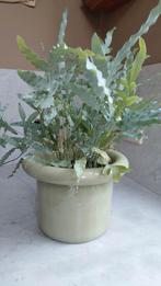 Ecri Katwijk zacht groene XL bloempot omgeslagen rand, Aardewerk of Porselein, Ophalen of Verzenden, Zo goed als nieuw, Minder dan 50 cm