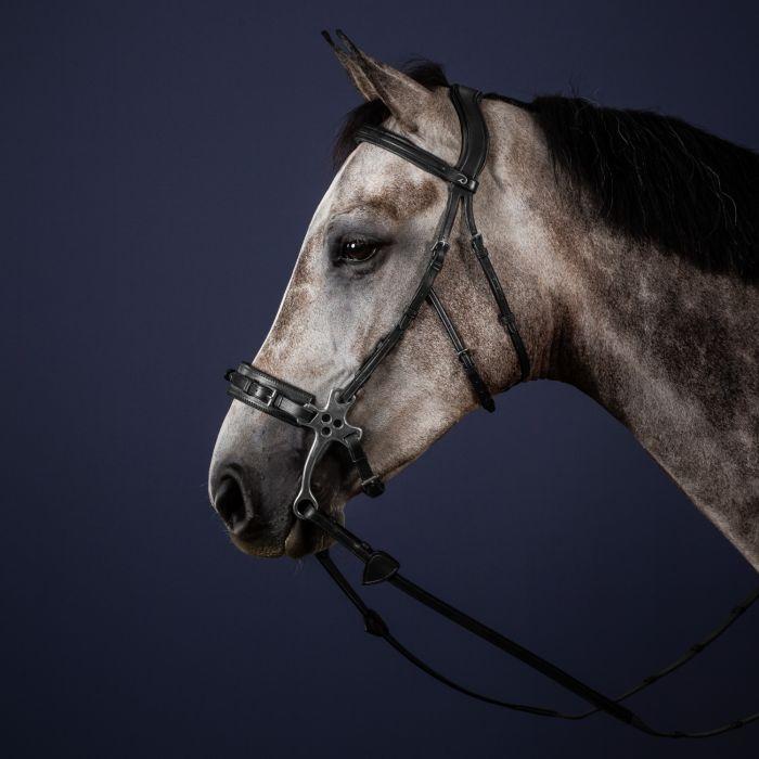 Dyon hackamore hoofdstel zwart full, Dieren en Toebehoren, Paarden en Pony's | Hoofdstellen en Tuigage, Ophalen of Verzenden, Zo goed als nieuw