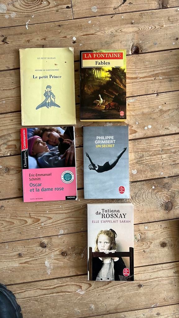 Franse boeken lezen voor de lijst, Ophalen of Verzenden, Zo goed als nieuw, Overige niveaus, Frans