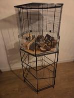 Interzoo hamster kooi knaagdier xl incl standaard groot, Kooi, Minder dan 75 cm, Zo goed als nieuw, Hamster
