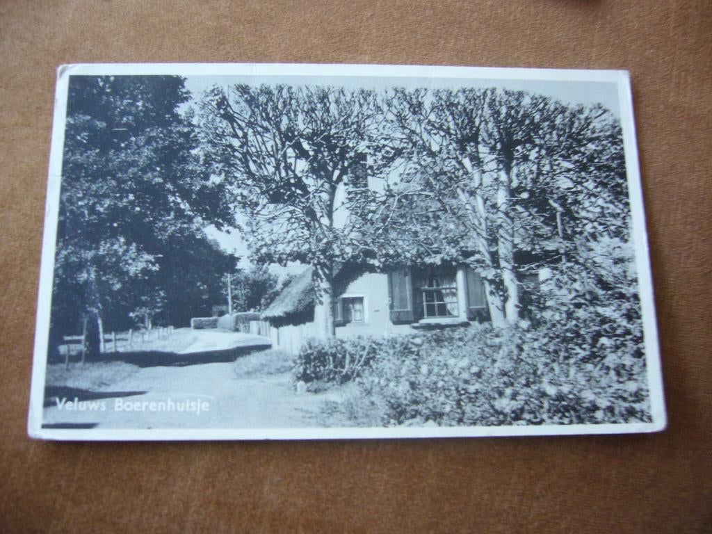 VELUWE   =  VELUWS BOERENHUISJE, Ophalen of Verzenden, 1940 tot 1960, Gelopen, Gelderland