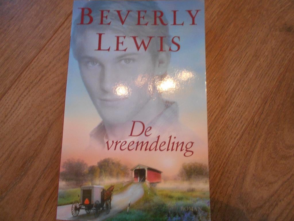 Beverly Lewis De vreemdeling, Boeken, Romans, Ophalen of Verzenden, Zo goed als nieuw