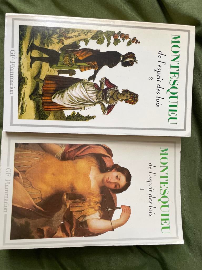 Montesquieu - De l'esprit des lois deel 1 en 2, Boeken, Ophalen of Verzenden, Gelezen, Europa overig