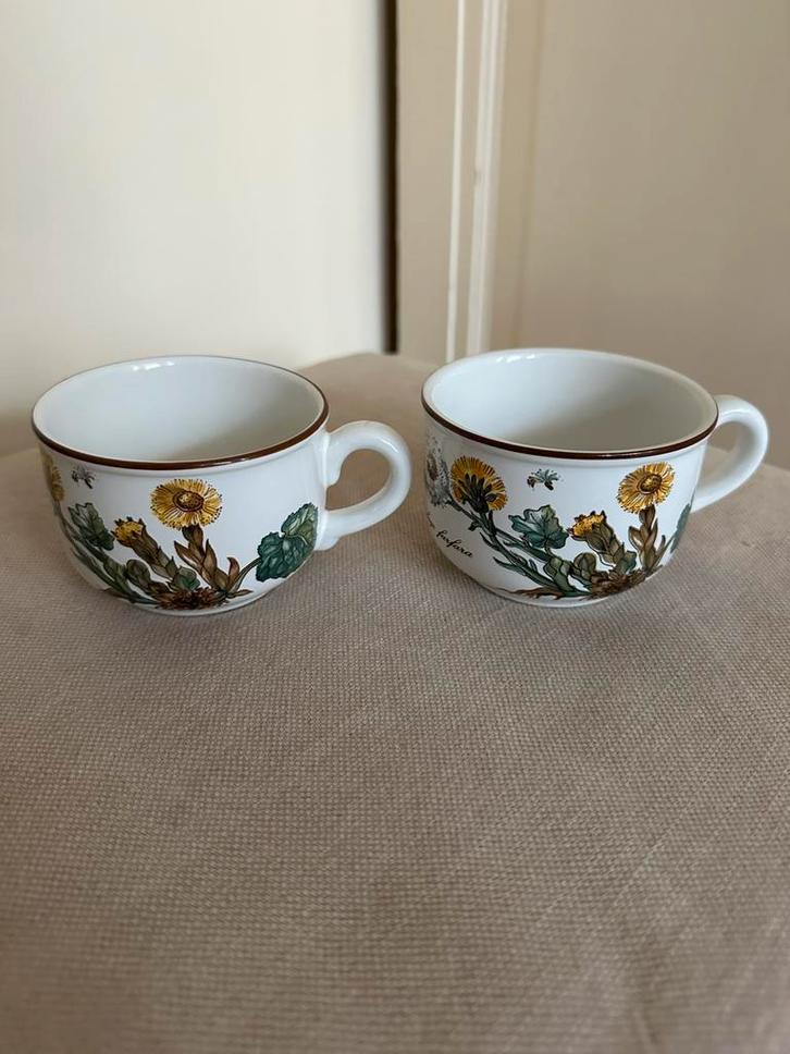 Villeroy & Boch Botanica 2 losse kopjes Scheveningen, Huis en Inrichting, Keuken | Servies, Zo goed als nieuw, Kop(pen) en/of Schotel(s)
