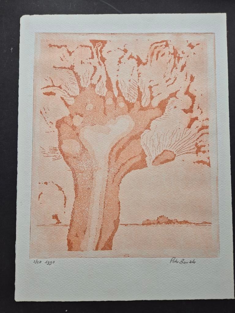 Aquarel Peter Bartels 1990. Knotwilg, Ophalen of Verzenden