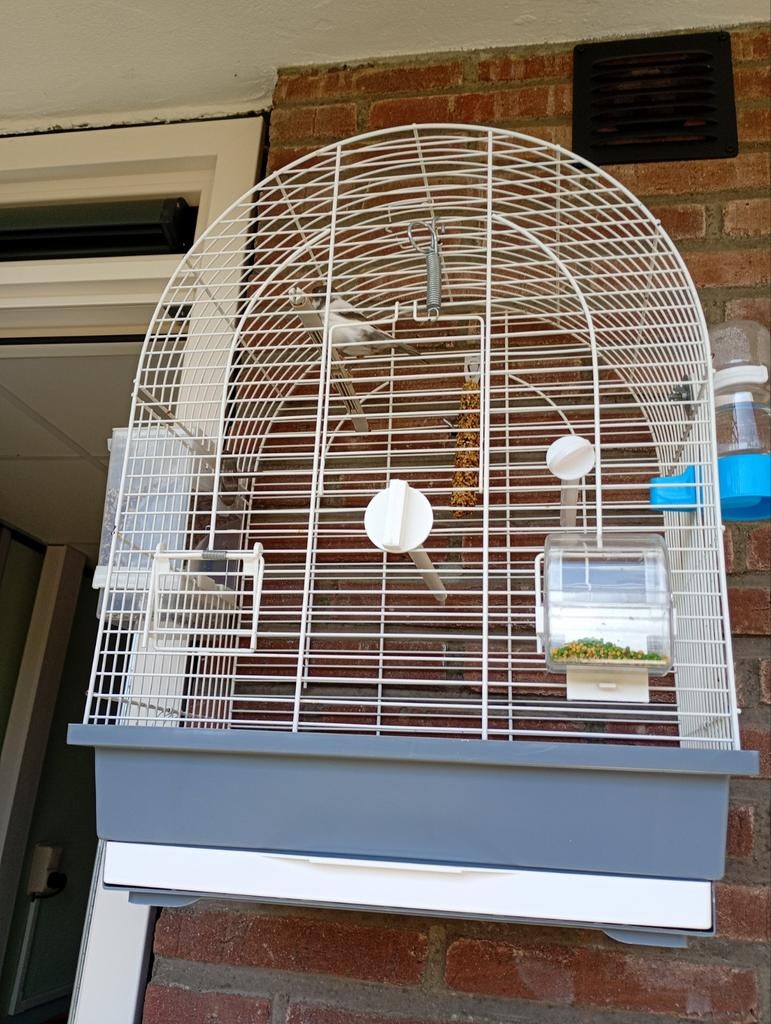 Kanaries, Ophalen of Verzenden, Metaal, Volière