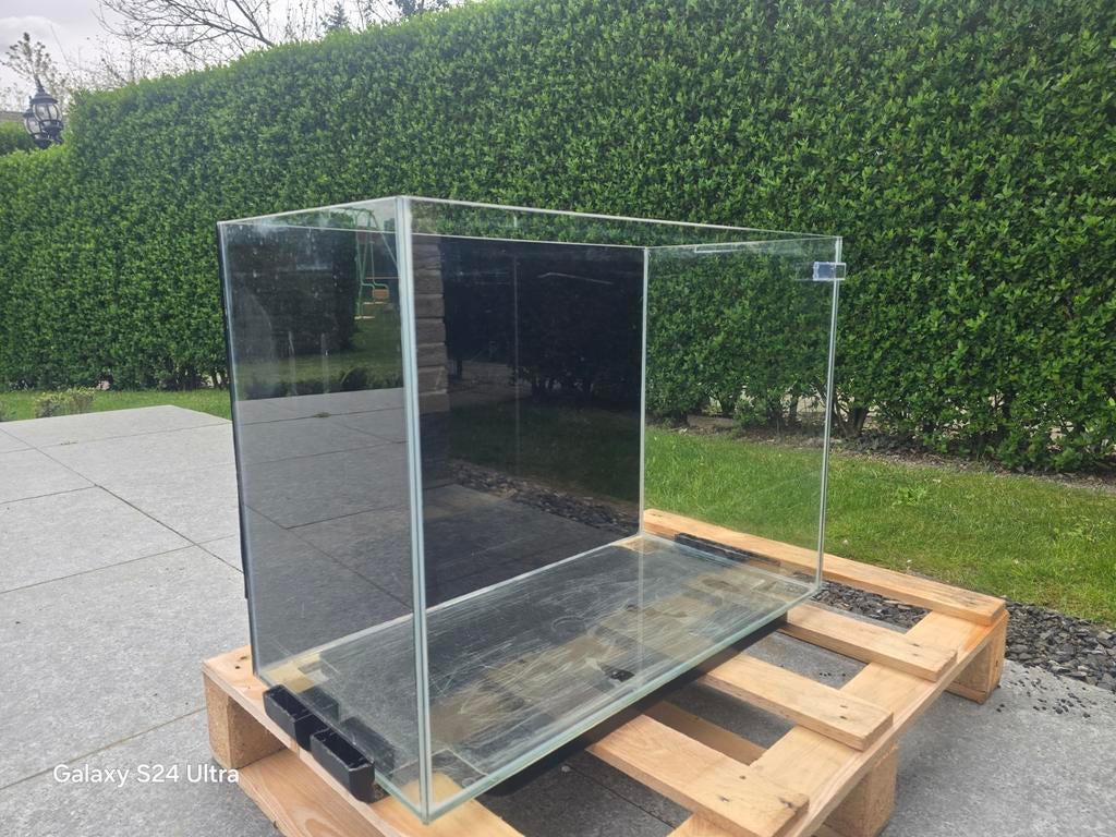 Aquarium 65x31x53cm 80l - Locatie Munsterbilzen, Dieren en Toebehoren, Vissen | Aquaria en Toebehoren, Gebruikt, Ophalen of Verzenden
