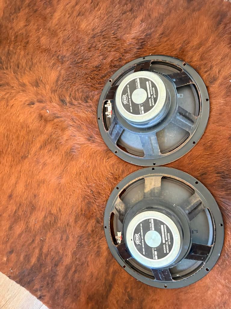 Pearl 12 inch 8 ohm gitaarversterker speakers (defect), Muziek en Instrumenten, Versterkers | Bas en Gitaar, Gebruikt, Ophalen of Verzenden