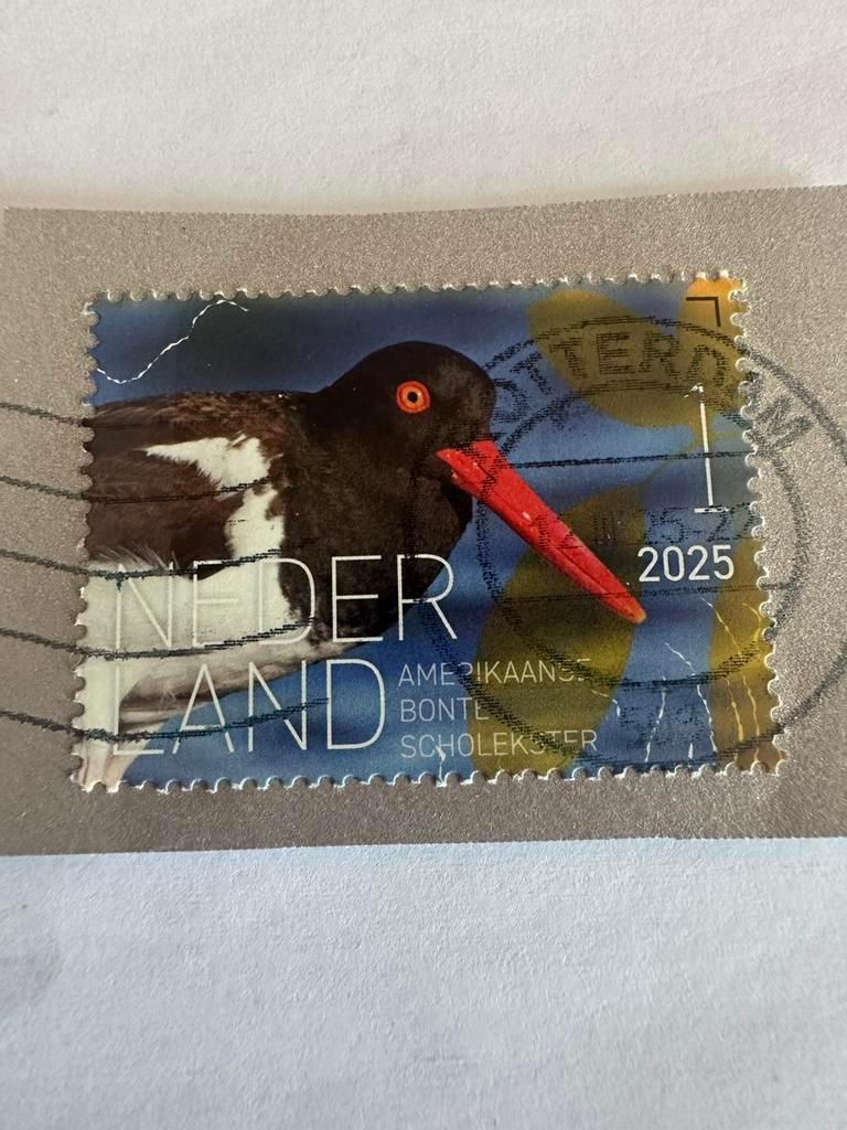 Beleef de natuur 2025, Ophalen of Verzenden