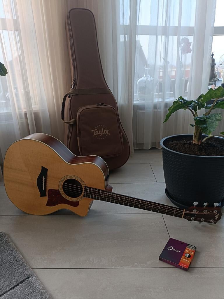 Taylor214ce.Incl. Softcase., Muziek en Instrumenten, Snaarinstrumenten | Gitaren | Akoestisch, Ophalen, Gebruikt, Overige typen