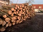 Openhaardhout, 6 m³ of meer, Ophalen of Verzenden, Overige houtsoorten, Stammen