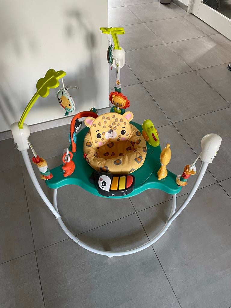 Fisher-Price Jumperoo, Kinderen en Baby's, Speelgoed | Fisher-Price, Ophalen, Gebruikt, Overige typen, Met licht