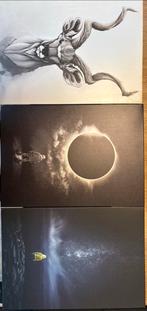 Displate Collectie - Diverse Designs, Ophalen, Zo goed als nieuw, Metaal of Aluminium, Minder dan 50 cm