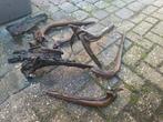 Kienhout, Dieren en Toebehoren, Ophalen of Verzenden, Gebruikt, Plant(en), Steen of Hout