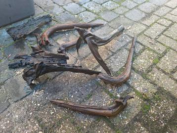 Kienhout  beschikbaar voor biedingen