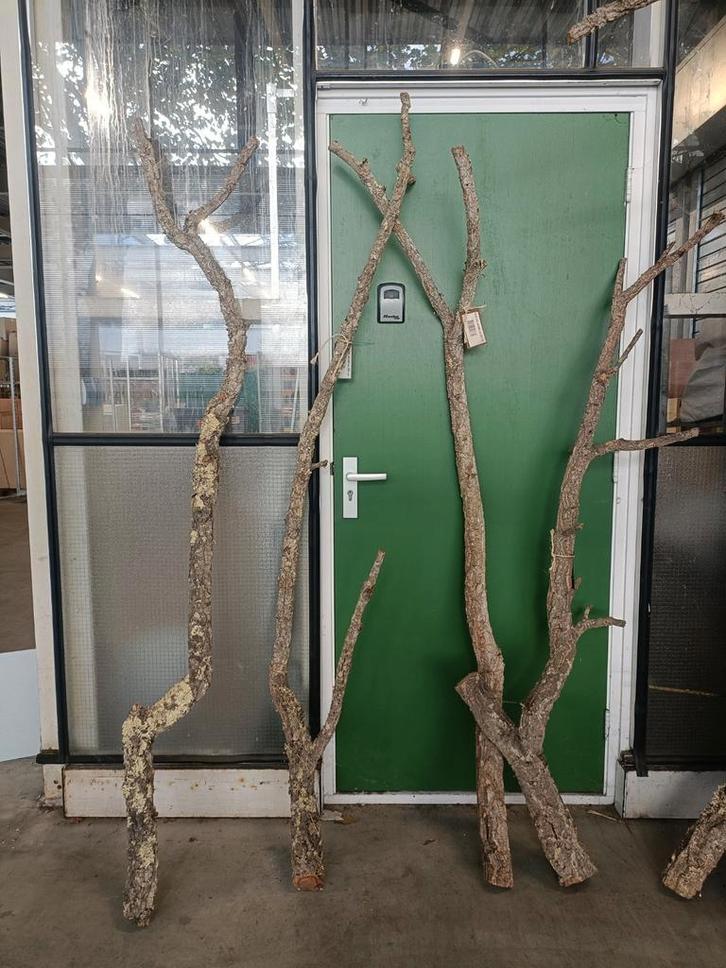 Takken van kurk - 2 meter!, Doe-het-zelf en Verbouw, Hout en Planken, Overige houtsoorten, Minder dan 200 cm, Ophalen