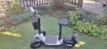 Doohan Ilark wit beschikbaar voor biedingen