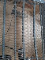 Auping Auronde 2000 - Elektrisch verstelbaar, Huis en Inrichting, Slaapkamer | Bedden, Ophalen